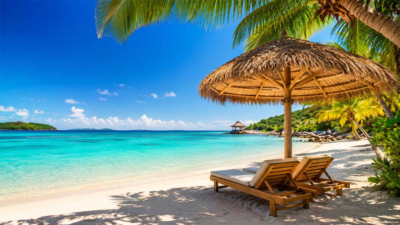 Obiettivo tropici