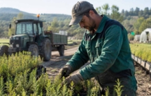 Operaio, operai agricolo