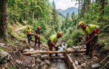 operaio idraulico forestale