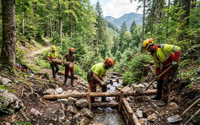 operaio idraulico forestale